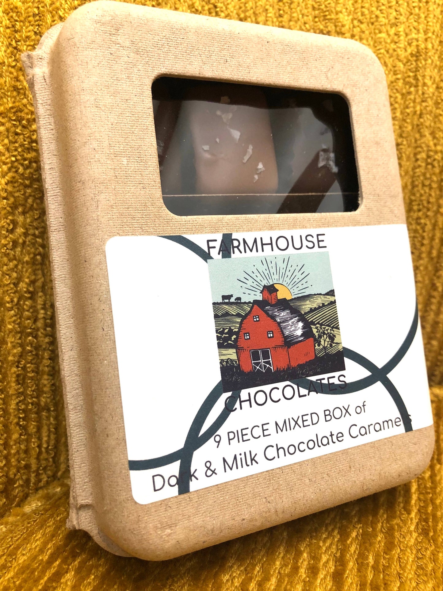 9 Piece Milk & Dark Chocolate Covered Salted Caramels, Mixed