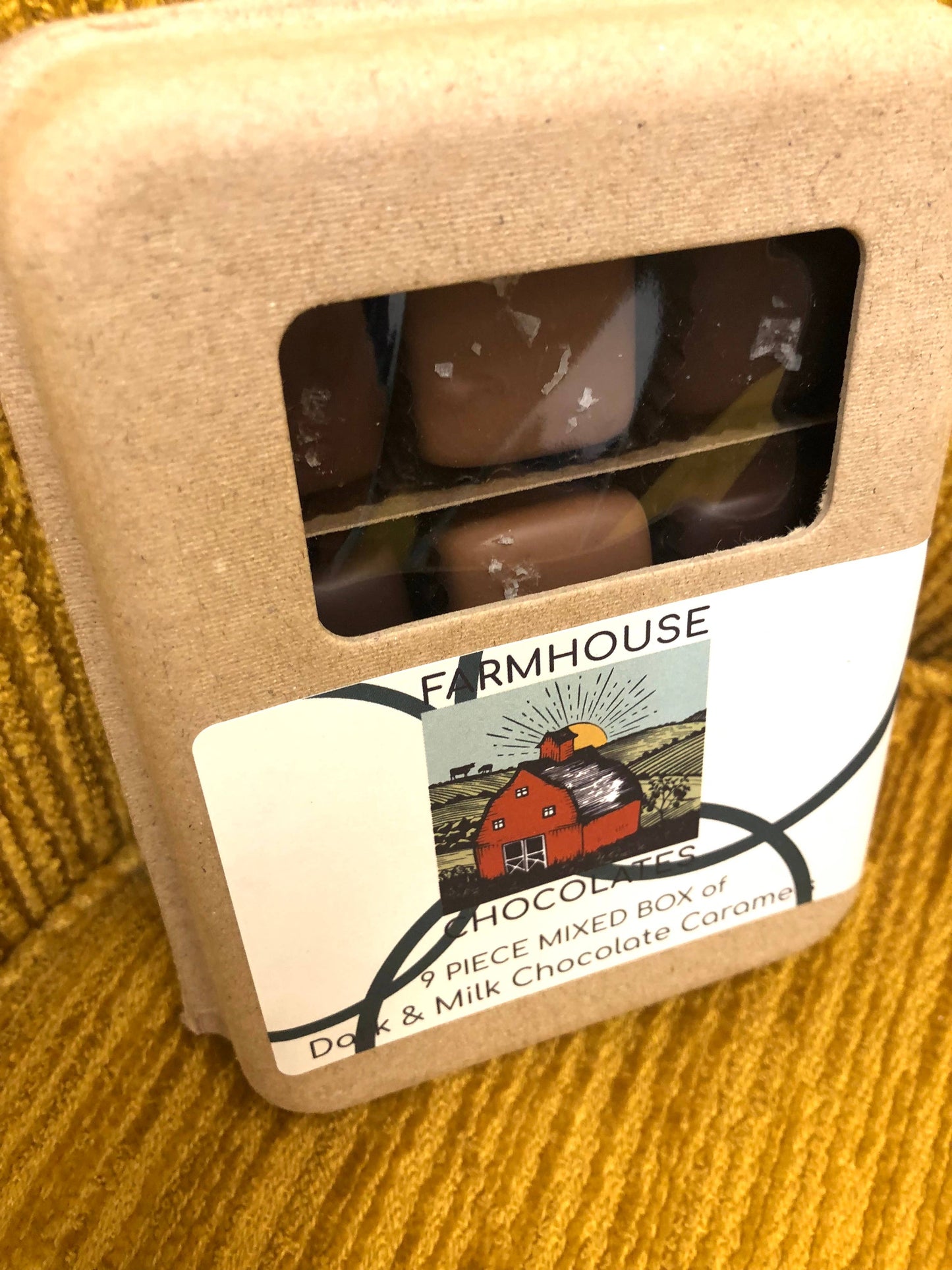 9 Piece Milk & Dark Chocolate Covered Salted Caramels, Mixed