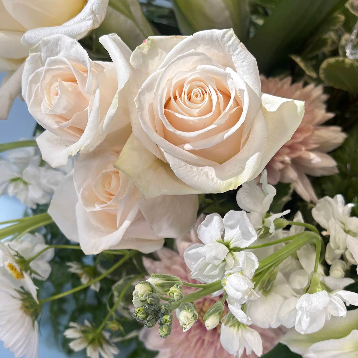 Arrangement - Warm Sympathy