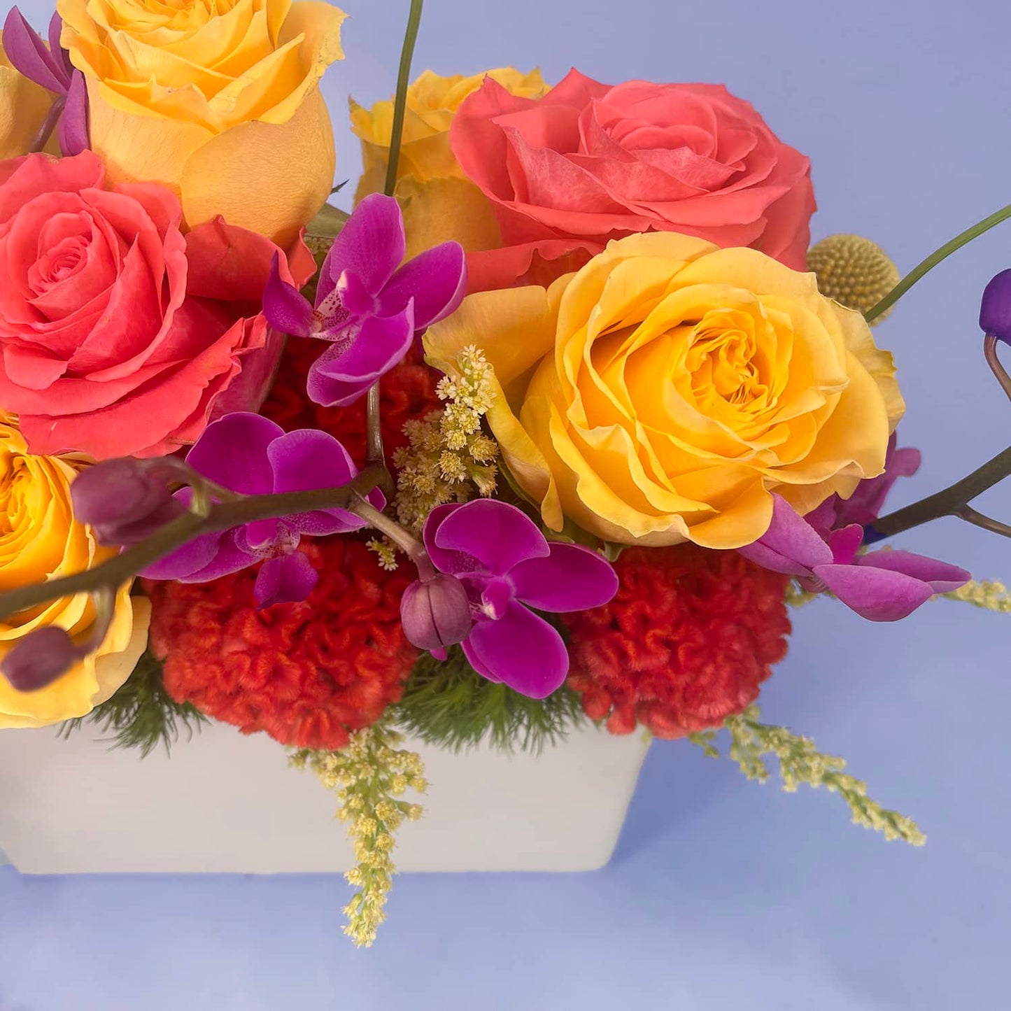 Arrangement Custom - $150