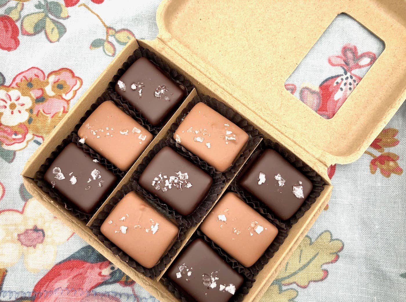 9 Piece Milk & Dark Chocolate Covered Salted Caramels, Mixed
