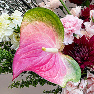 Valentine's Day Signature Arrangement