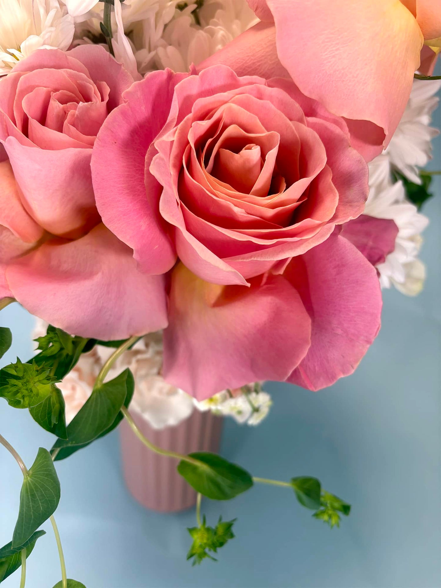 Arrangement - Hermosa