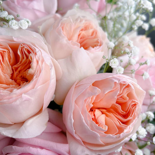 Arrangement - Sweet Juliet