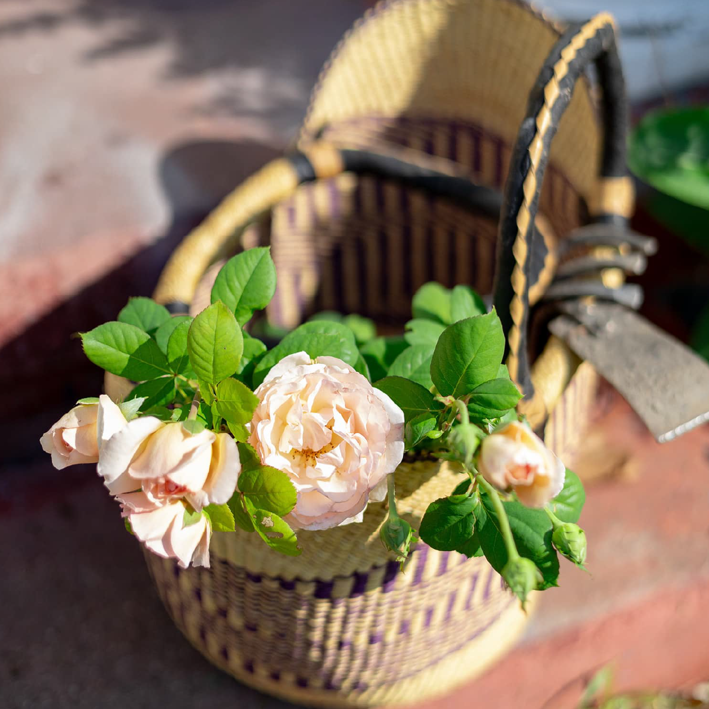 One Season at a Time