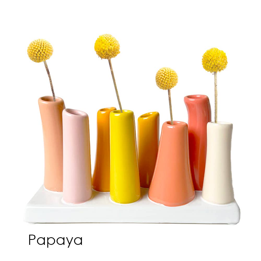 Pooley Colorful Bud Vase For Flower Arranging Rectangular