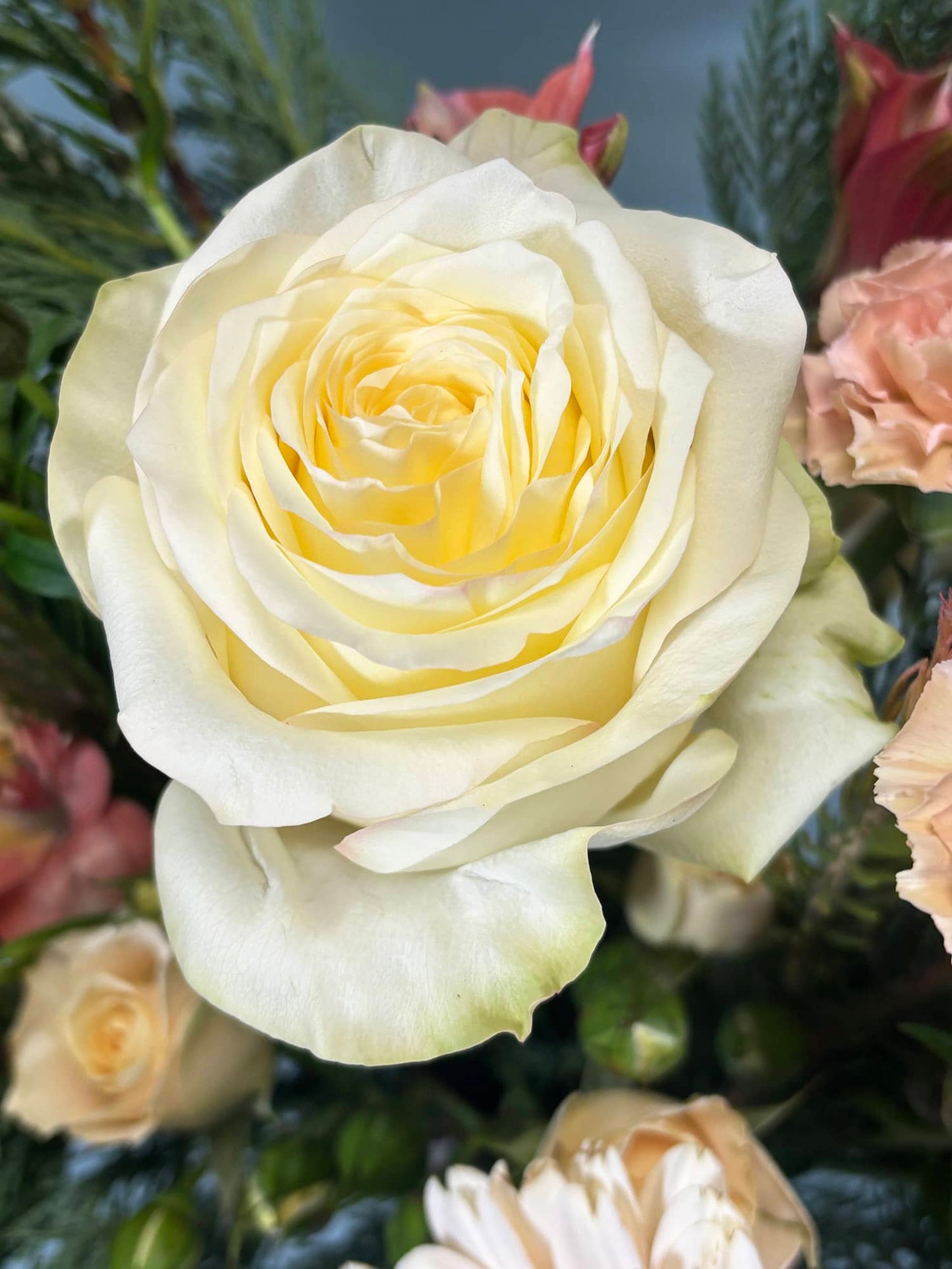 Arrangement Sugar Plum