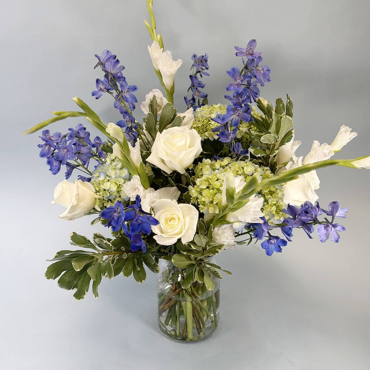 The Blue and White