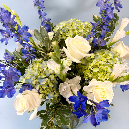 The Blue and White