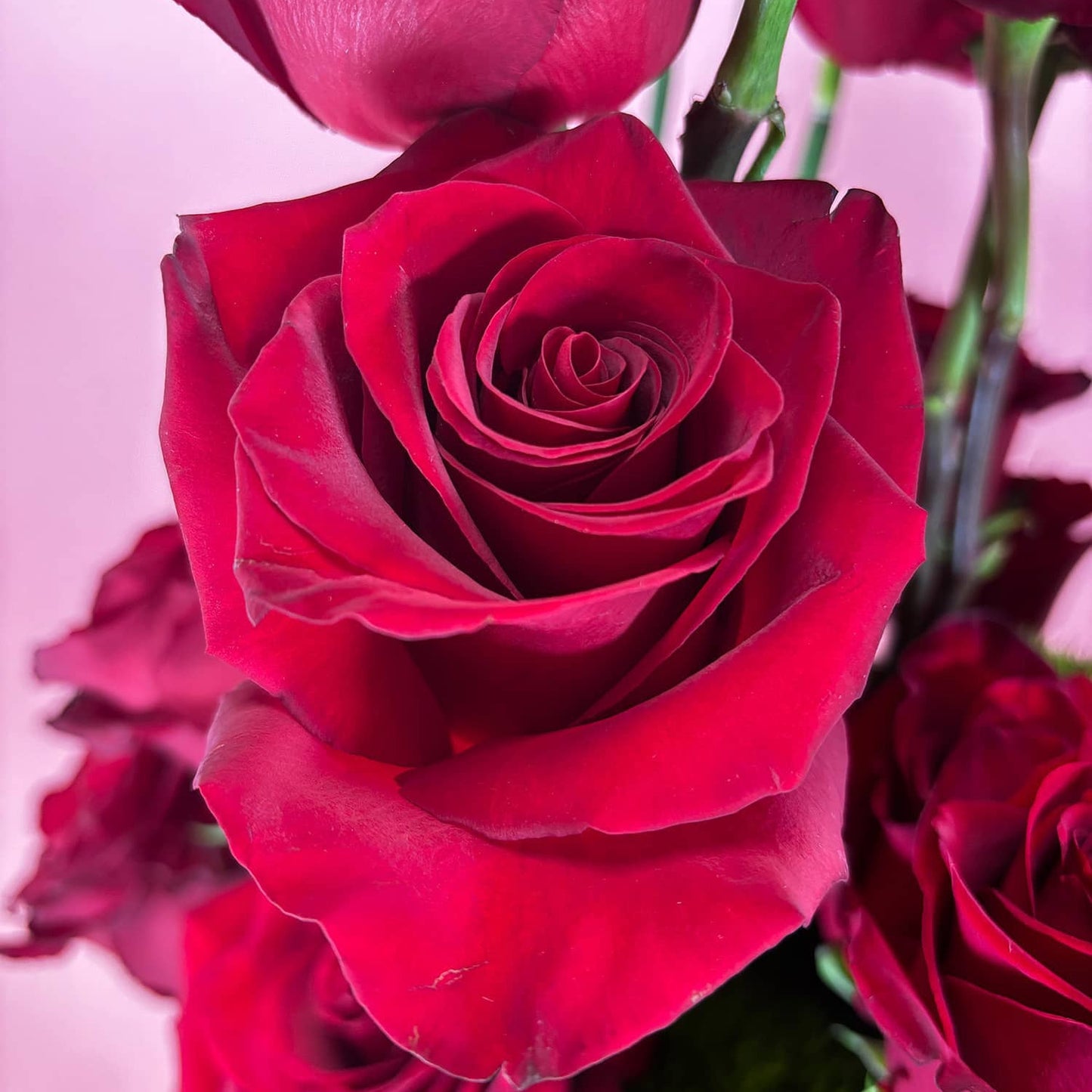 Arrangement - Modern Love