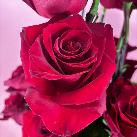 Arrangement - Modern Love