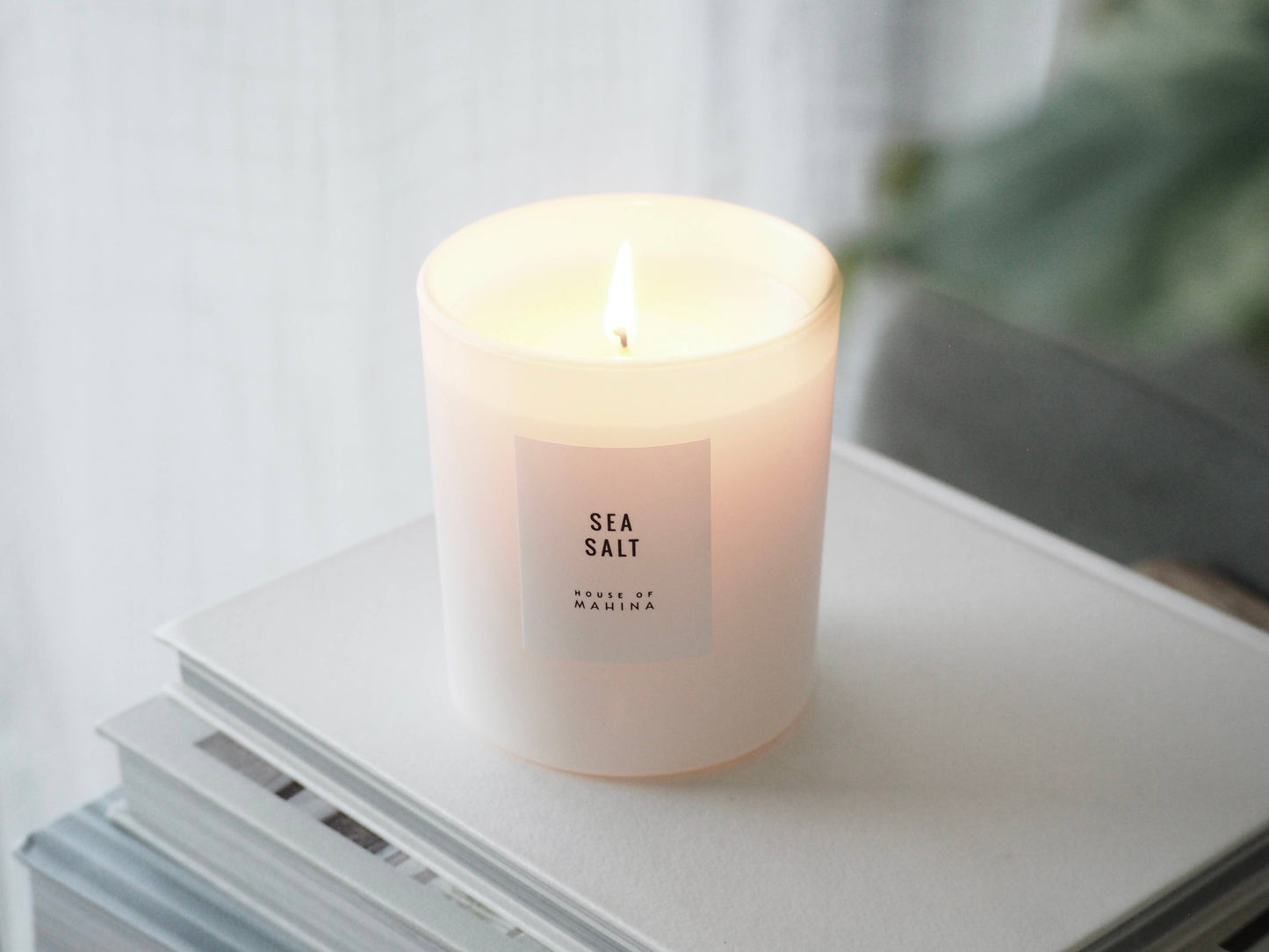 Sea Salt Candle 12 oz - Fresh Coastal Aquatic
