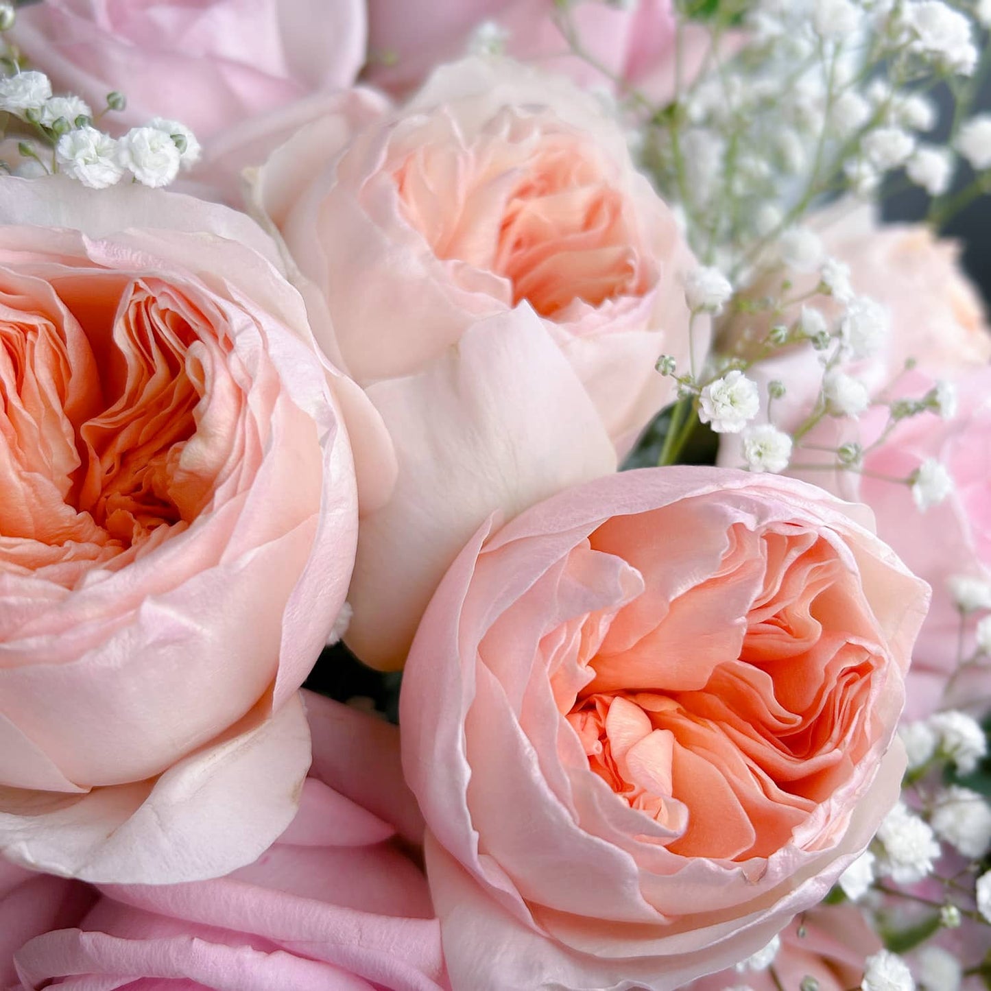 Arrangement - Sweet Juliet