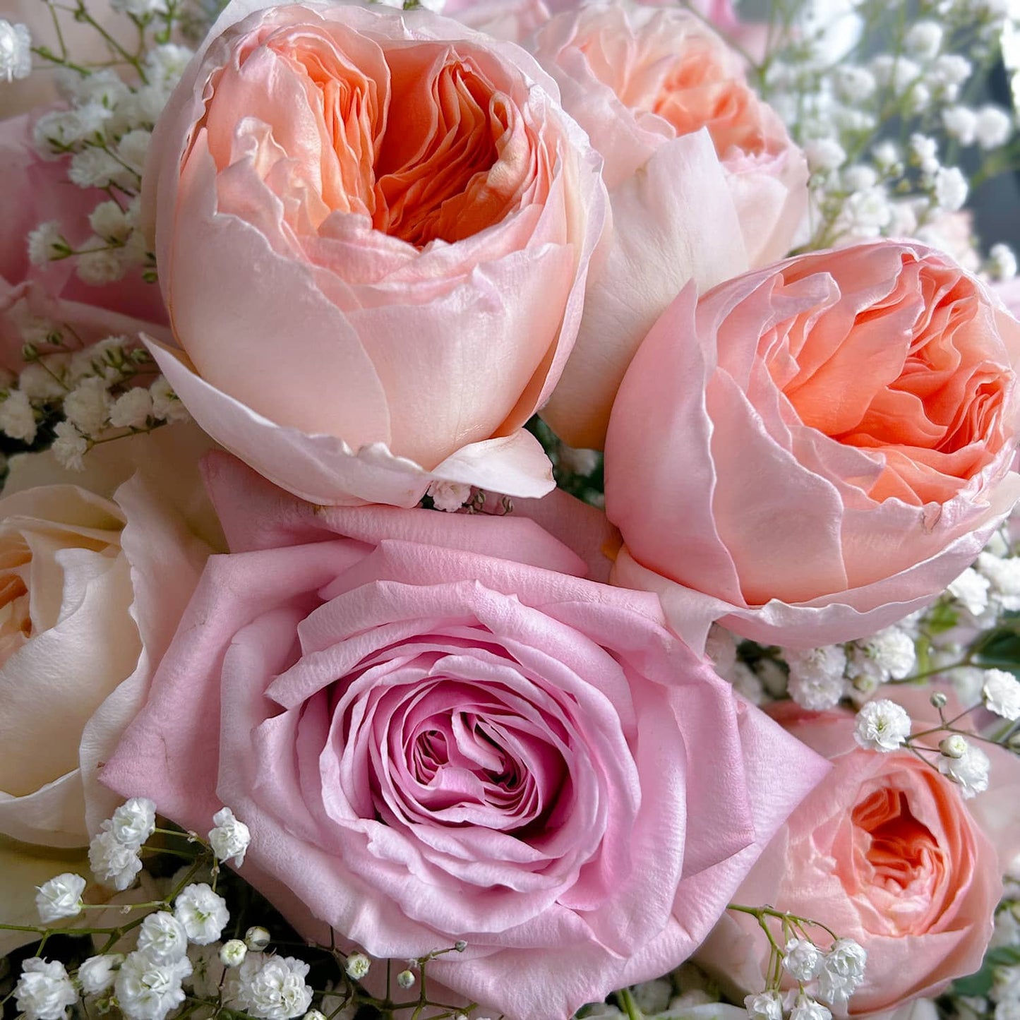 Arrangement - Sweet Juliet