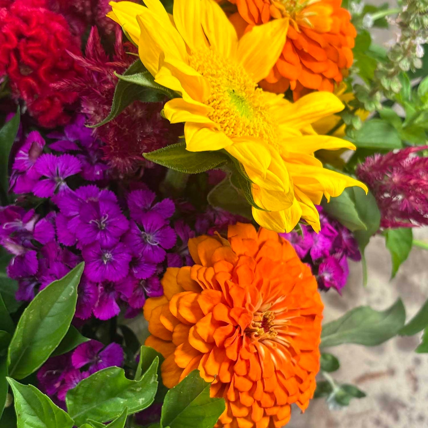 Arrangement Summer Vibe