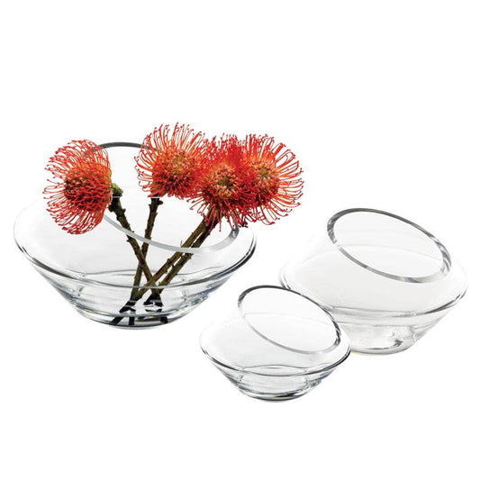VASE Terrarium - Large
